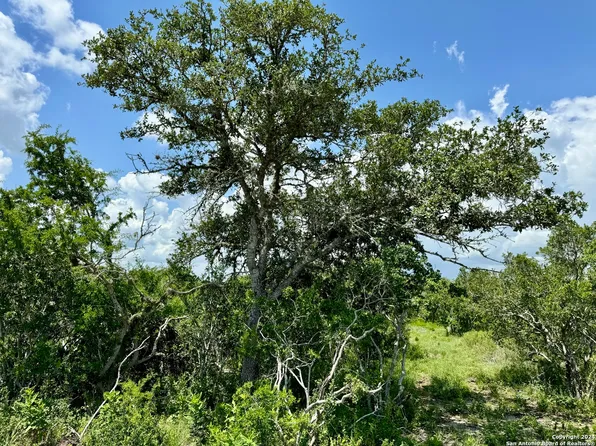 TBD County Road 115 LOT 25AC, Mineral, TX 78102
