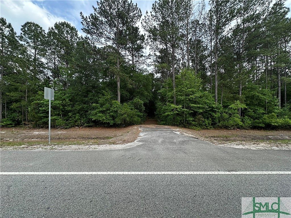 Leroy Coffer Highway Leroy Coffer Hwy, Fleming, GA 31309 MLS 311915