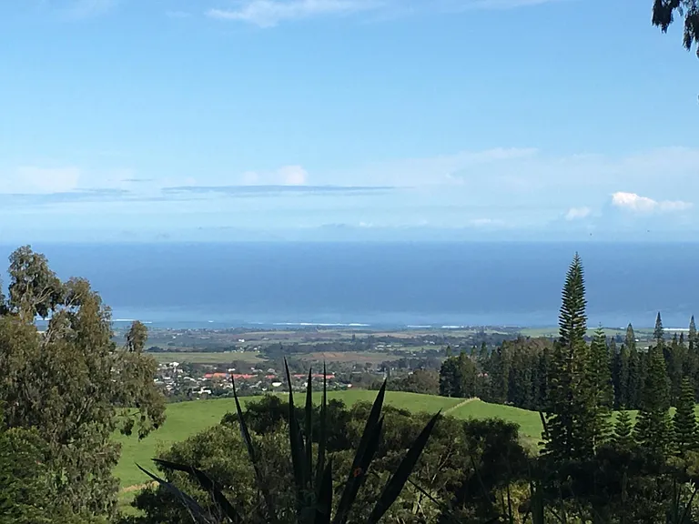 Olinda Rd — Photo 2