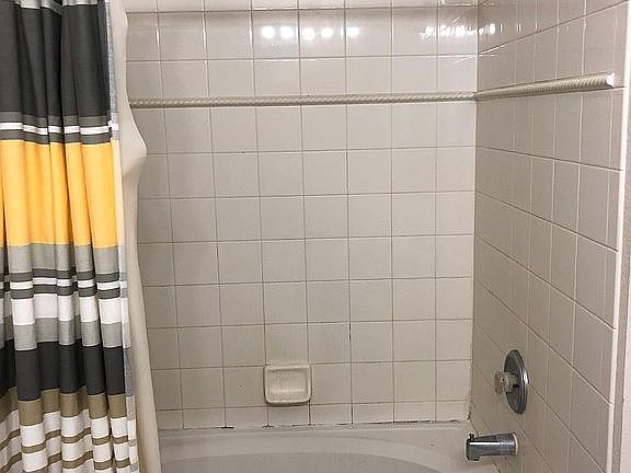 Master bathroom tub & shower