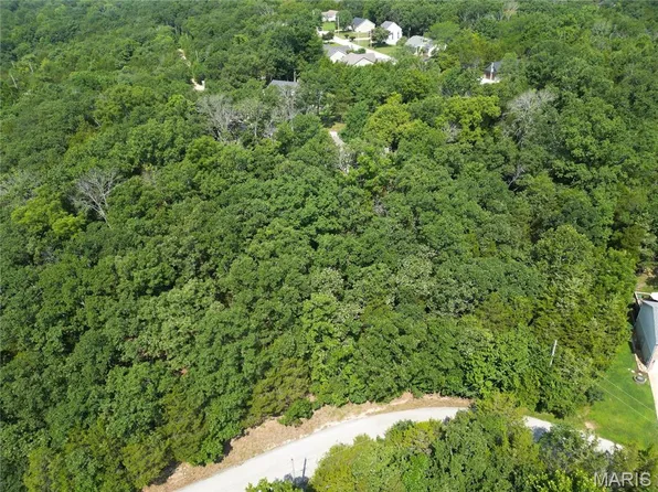10133 Lake Ridge Dr, Hillsboro, MO 63050