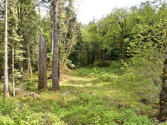 3rd image of Boscage Ln