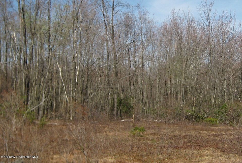 1st image of 37 Hemlock Dr