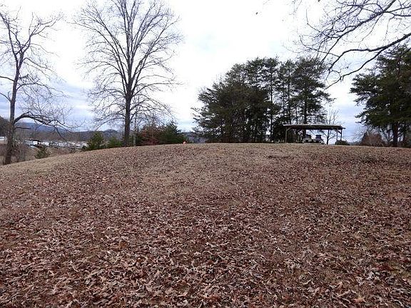 2nd image of Owens Ln