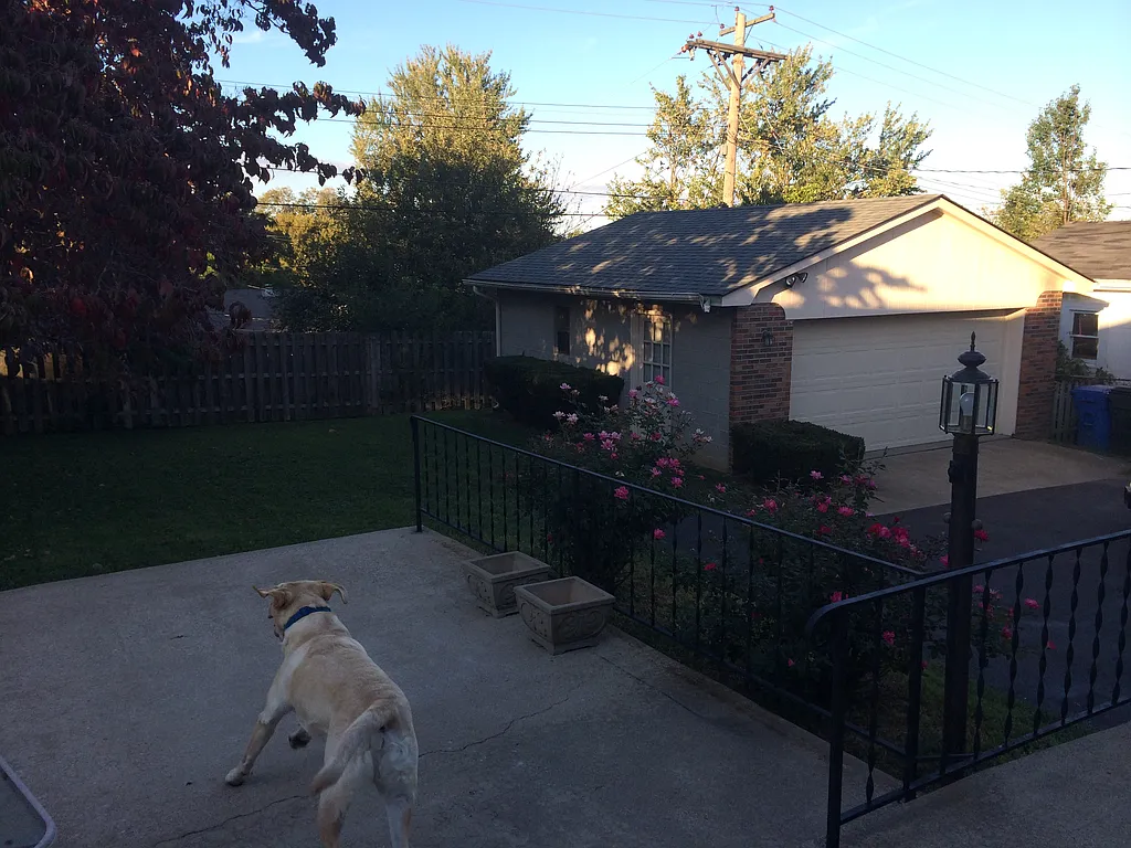 Property photo 5