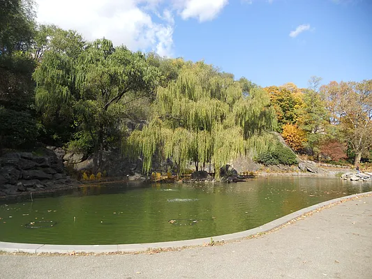 Rented by Willie Kathryn Suggs, LREB | media 51