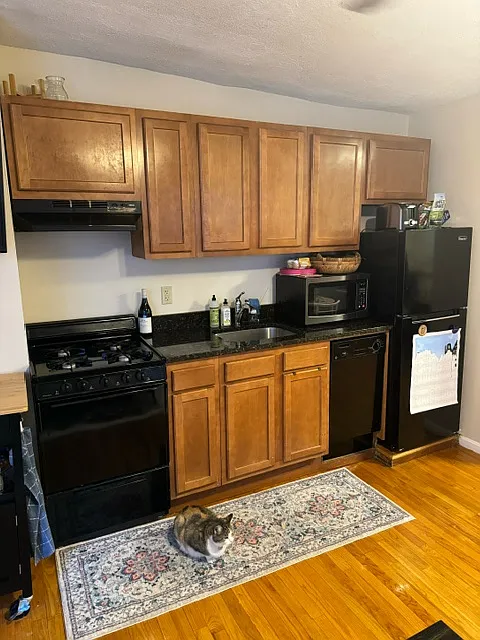 2 bed, $3,750 — Photo 2