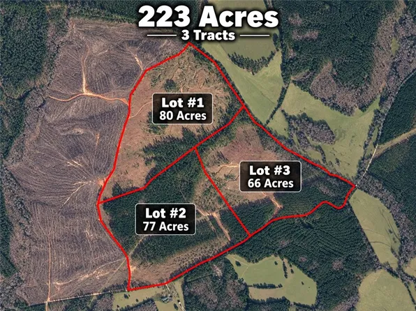 LOT 1 Charlie Johnson Rd, Calhoun Falls, SC 29628