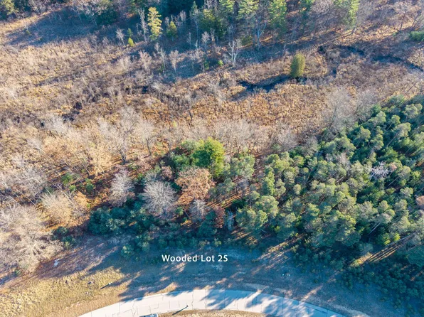 11250 Killarney Dr, Stanwood, MI 49346