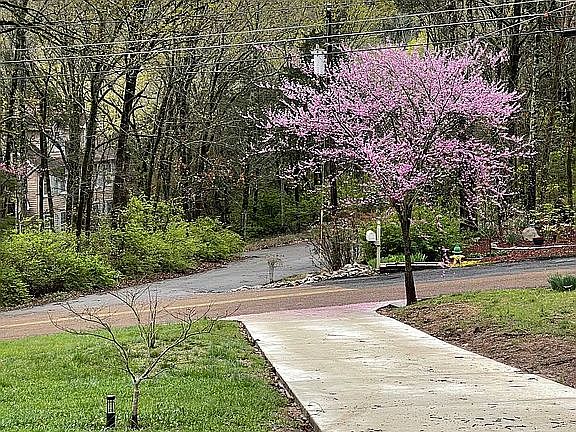 3rd image of 10014 Hampshire Dr SE