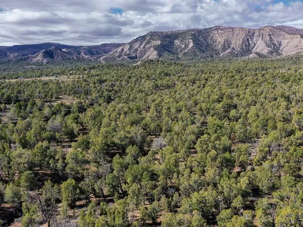 TBD Green Shadows Road, Durango, CO 81303
