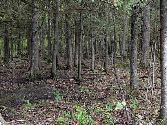 2nd image of N/a W Huron
