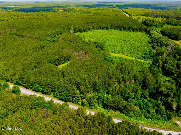 0 Hathorn Rd, Oak Vale, MS 39656