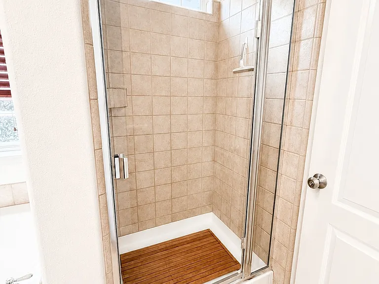 Primary Bathroom Shower