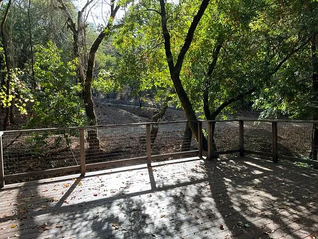 3050 Calistoga Rd — Photo 17