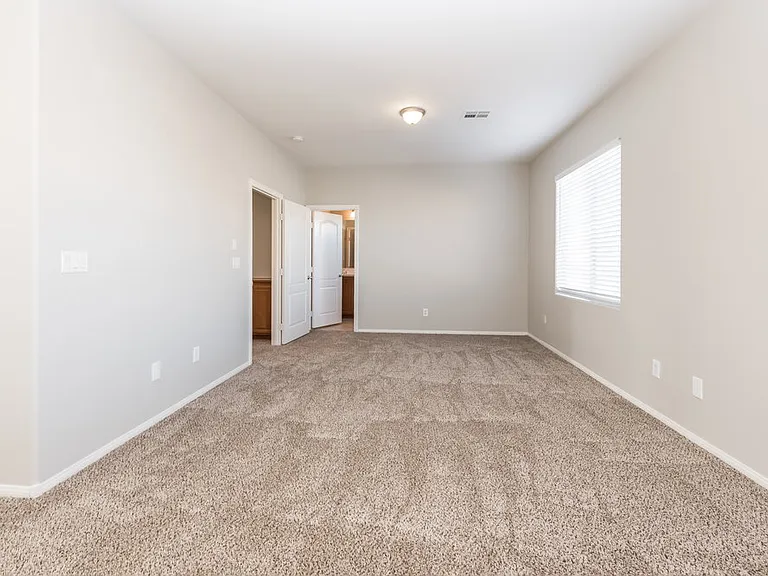 8257 Begonia Blush Dr — Photo 9