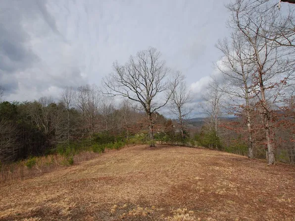 11 White Oak Dr, Warne, NC 28909