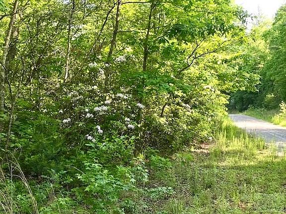 5th image of 2655 White Creek Trl