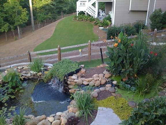 Large Koi pond in backyard