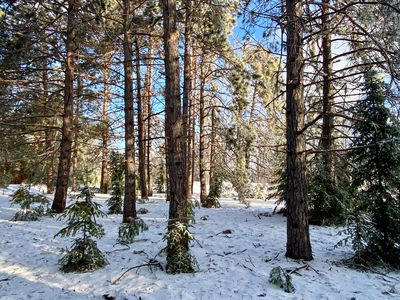 Lots 8 12 Scenic Trl, Gaylord, MI, 49735