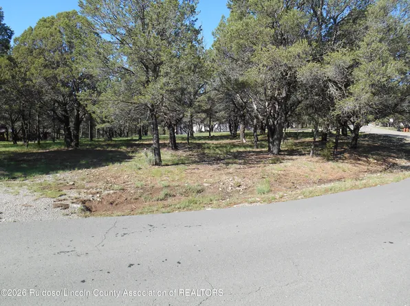 222 Deer Park Dr, Alto, NM 88312
