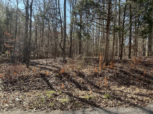 0 Green Meadow Dr, Big Sandy, TN 38221