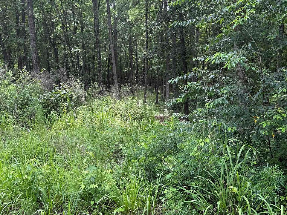 2nd image of 1409 Mullis Rd