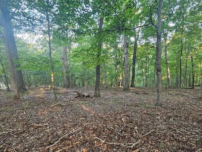 11A Nottingham Ct, Marthasville, MO, 63357