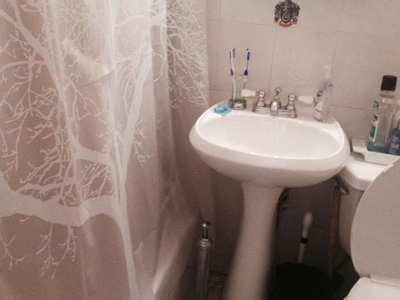 5th image of 391 8th St APT 3