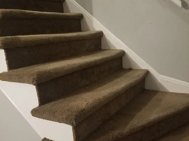 4825 Rolling Fields Dr — Photo 13