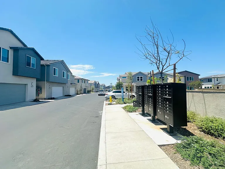 625 Gadwall — Photo 23