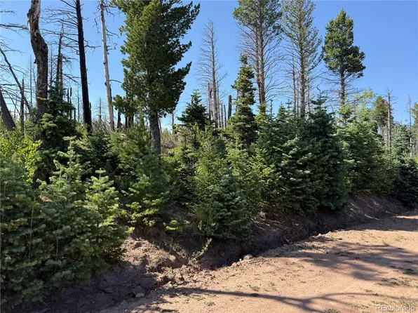 Lot 2498 Gilmartin Lane LOT 2498, Fort Garland, CO 81133