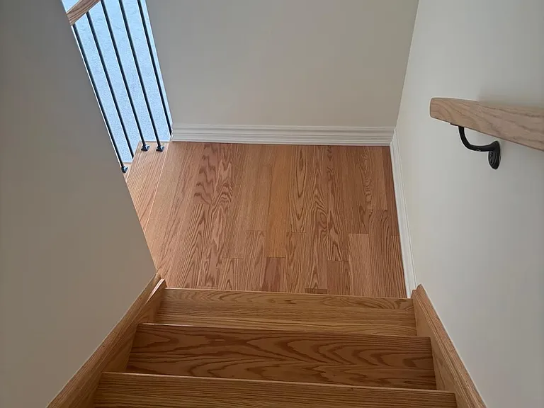2540 Hibiscus Dr — Photo 13