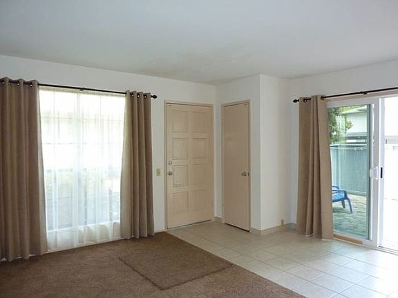 New Carpet, Paint & Drape