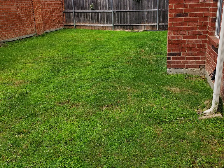 532 Silver Maple Dr — Photo 21