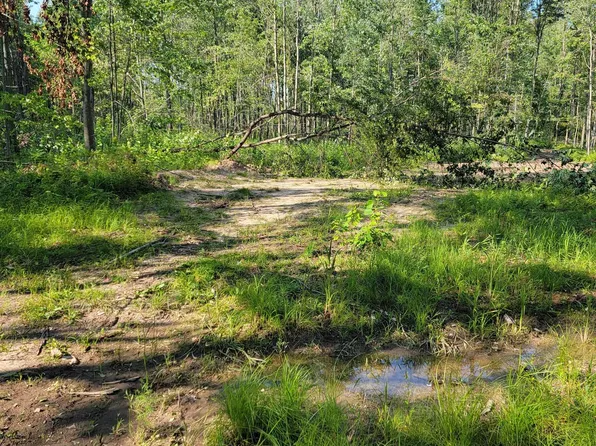 Hemlock St, Lake, MI 48632