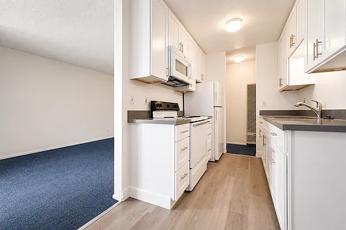 Floor plan 303