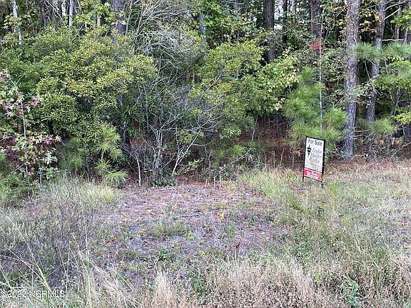 2nd image of Lot 63 Flyway Dr Drive