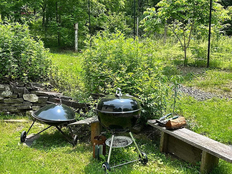 Backyard.