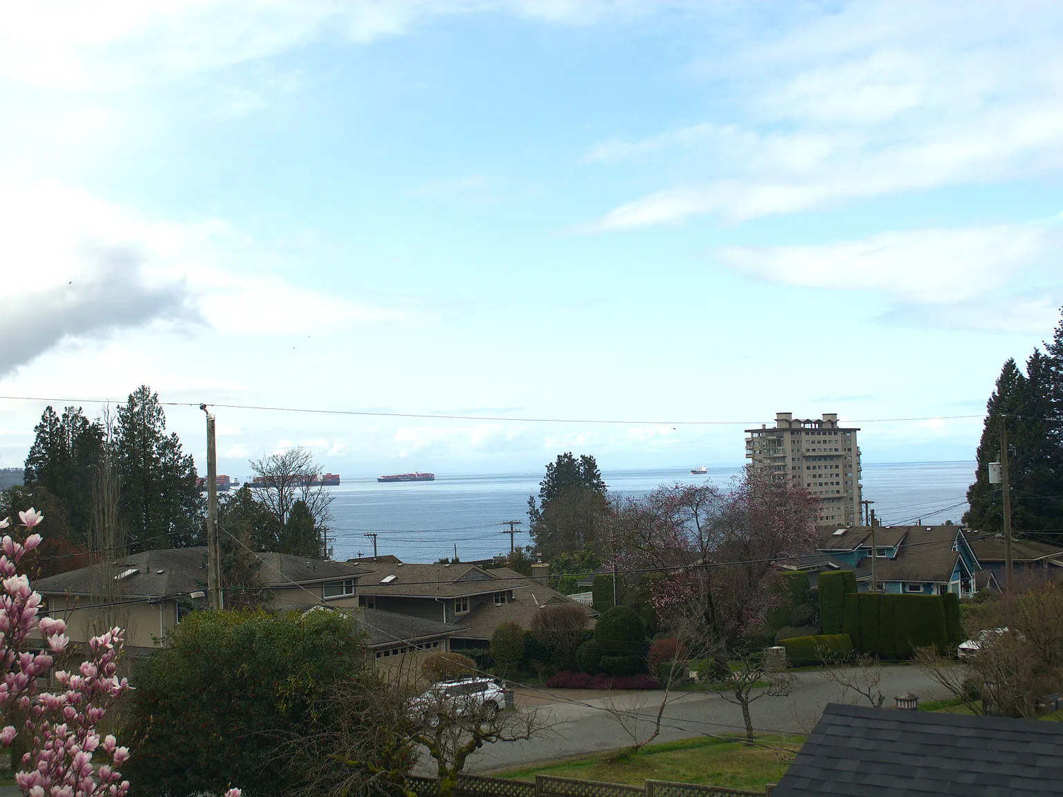 3 bed, 2000 sqft, $5,000 — Photo 4