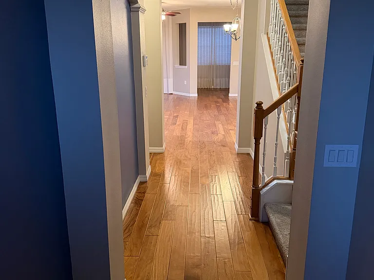 1942 Switch Grass Cir — Photo 3