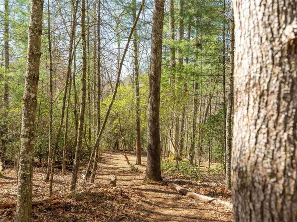 124 Taut Line Lane, Sapphire, NC 28774