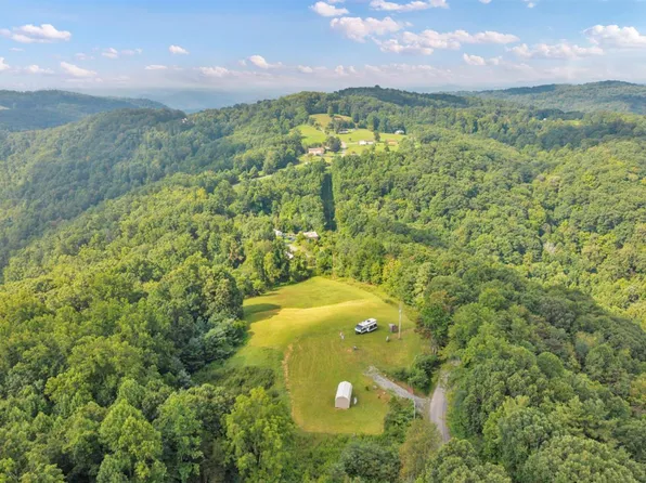 9400 Ellison Ridge Rd, Jumping Branch, WV 25969