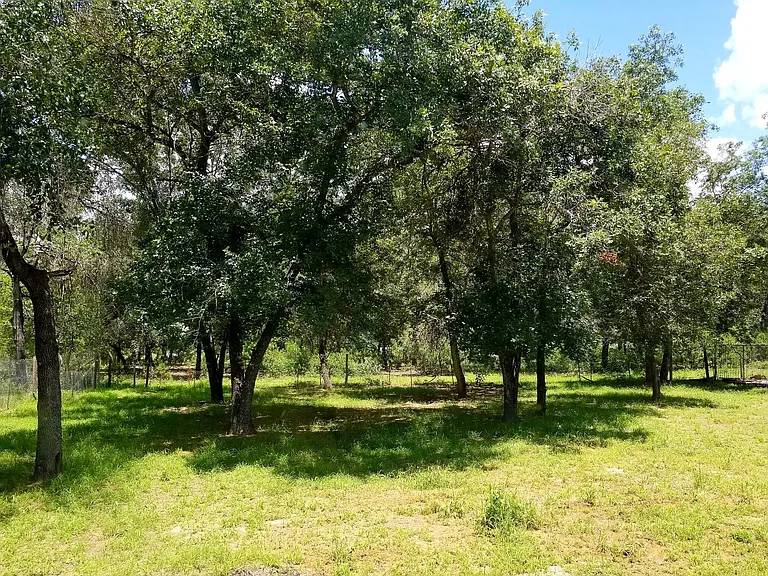 23322 Dragon Rock Rd — Photo 7