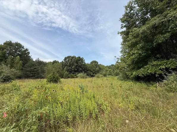 V L Sawyer Rd, Sawyer, MI 49125