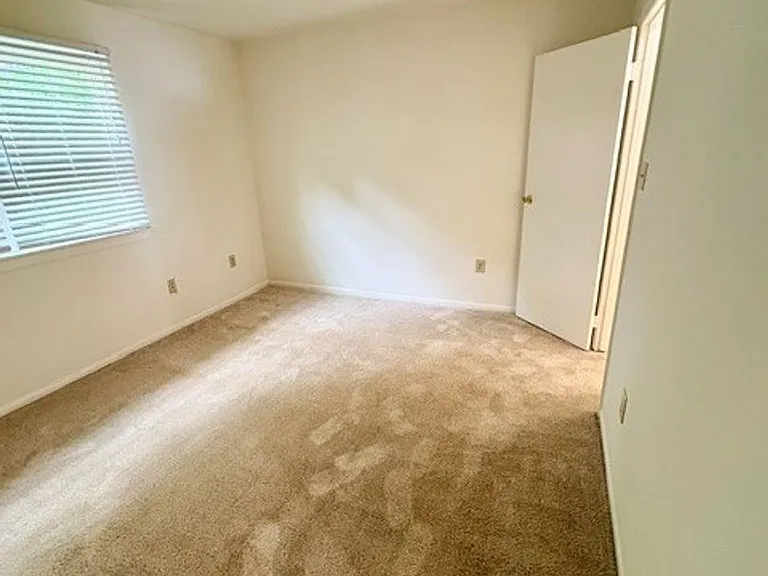 1084 Brightleaf Ct — Photo 11