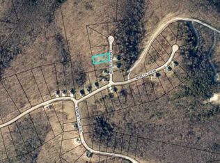 223 Point Ct, Branson, MO 65616