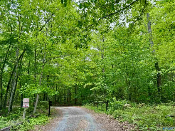 LOT 40 Road 9050, Mentone, AL 35984