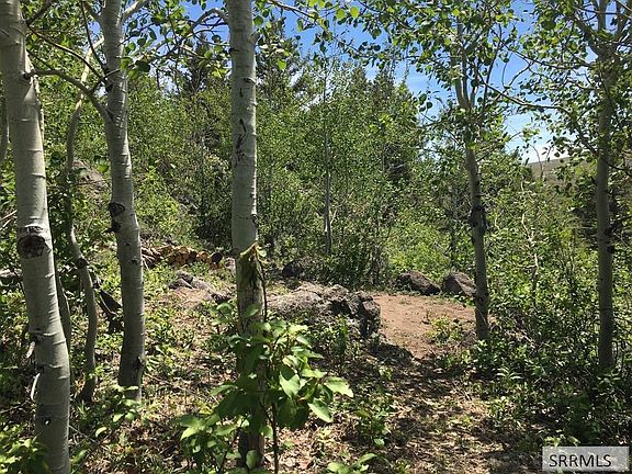 4th image of Na Idmon Rd