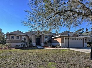 19336 Palmview St, Orlando, FL 32833